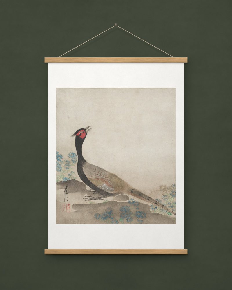 Pheasant