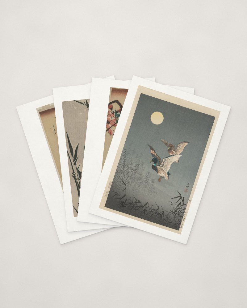 Japanese Bird Cards — four cards fanned