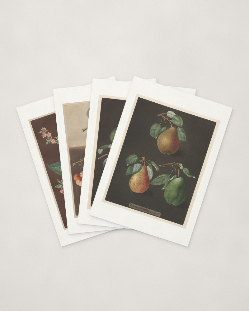 Fruit Cards — four cards fanned