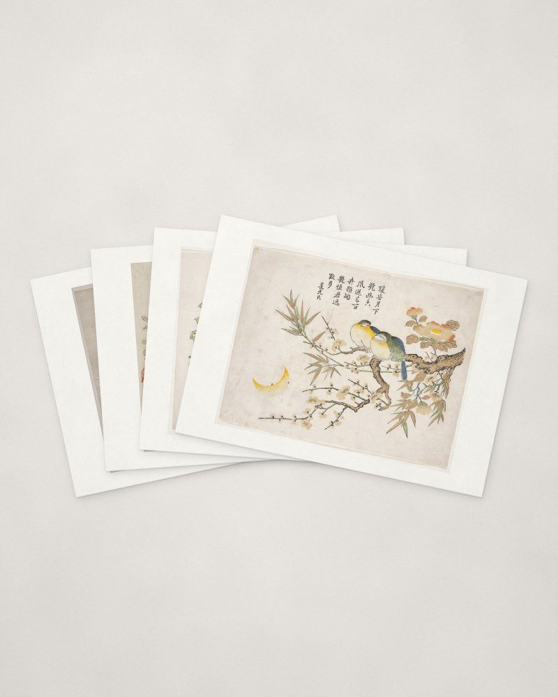 Bird & Blossom Cards — four cards fanned